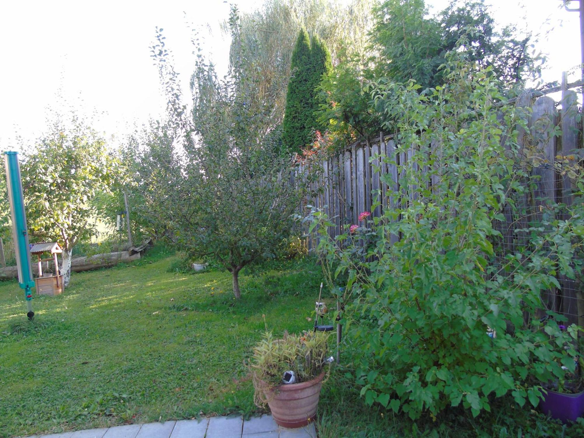 Ferienwohnung Csilla Unterweid ภายนอก รูปภาพ